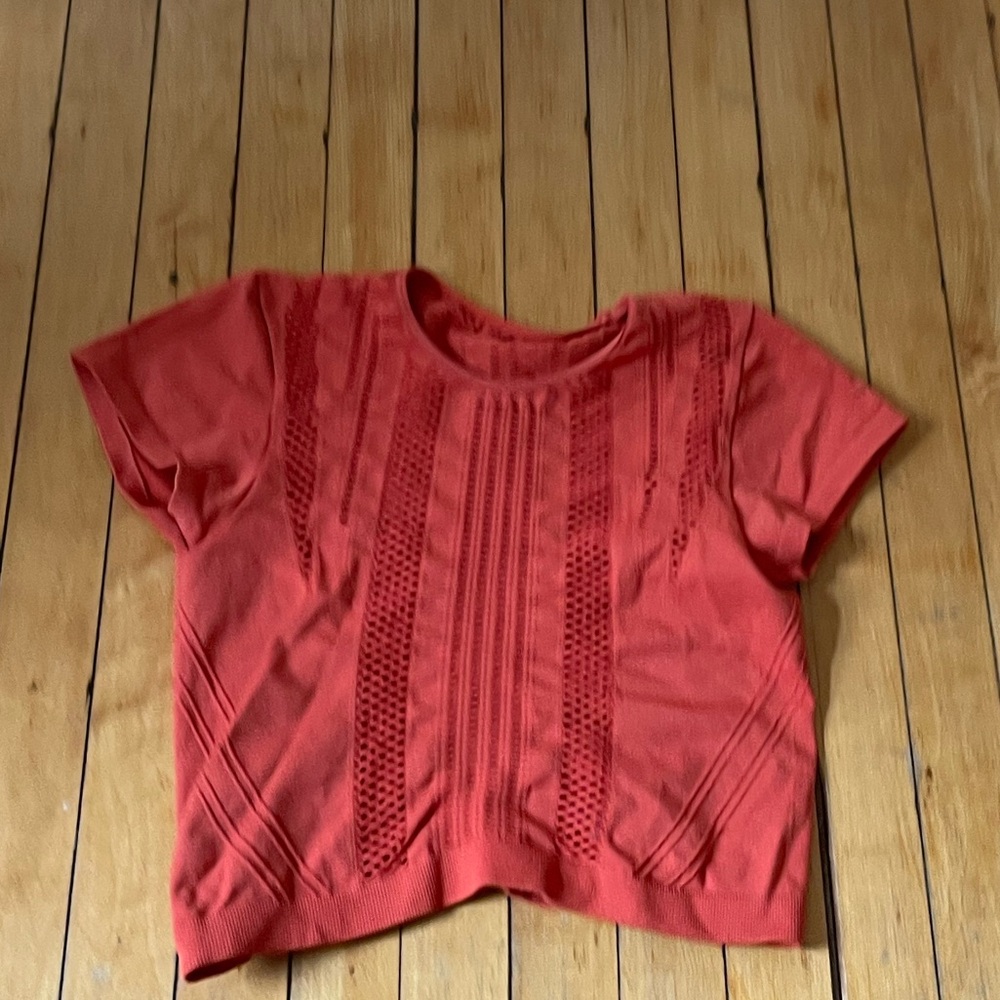 Urban Outfitters burnt orange Crop T-Shirt